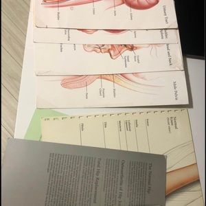Vintage anatomy pages